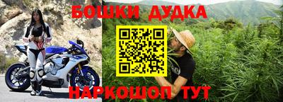 гидропоника Сланцы
