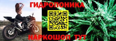гидропоника Сланцы