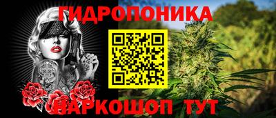 гидропоника Сланцы