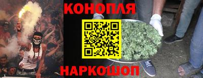 дурь Славгород